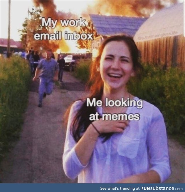 Some memes are just worth letting the emails burn