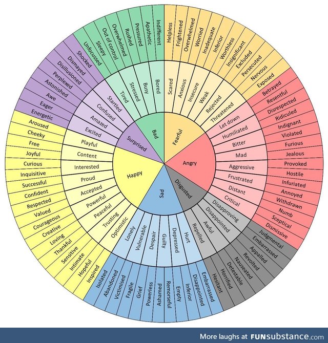 THE FEEL WHEEL this is super helpful for anyone needing to identify their emotions or