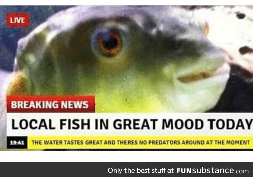 Fishy Fun Day #45: Meme Edition