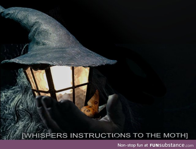 Whispers instructions to the moth [This is the result of my brain on insomnia]