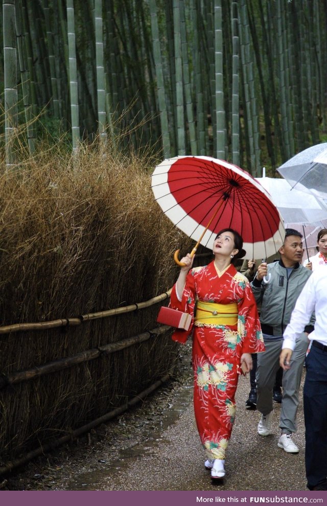 A quick snap and I found one of my favorite photos of my Japan trip so far