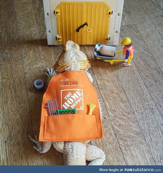 Besides chickens, Home Depot gift card aprons fit lizards too