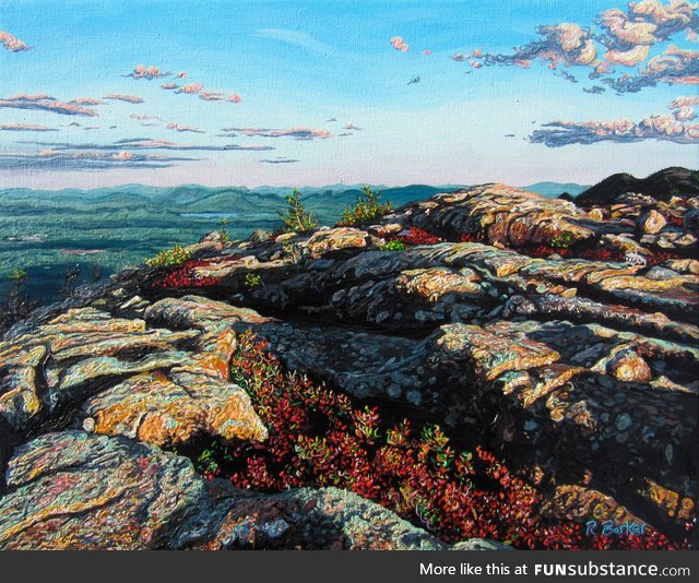 Trippy landscape oil painting