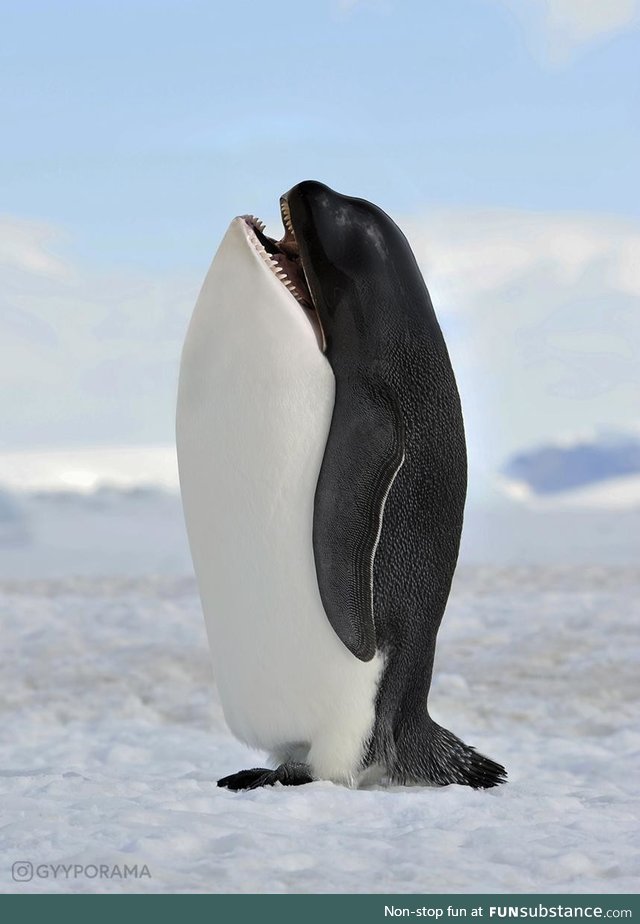 A pengwhale