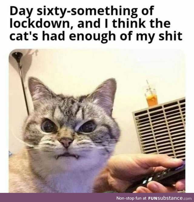 Cat's had enough of your shit