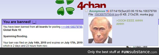 A Russian mod on /int/ bans people if they say anything remotely negative towards Russia,