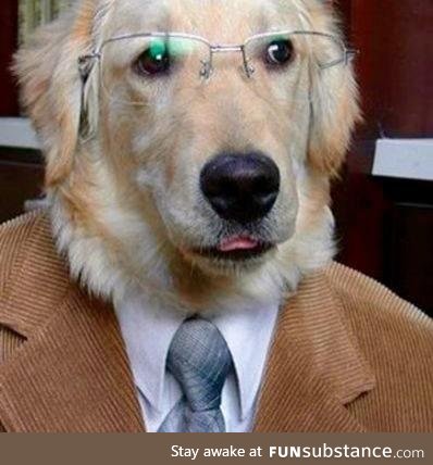 This is Senator Dog. He did not take money from the telecom lobby because he is a dog and