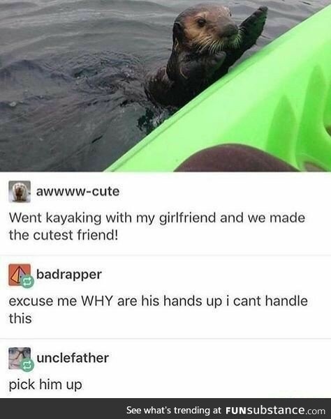 You otter pick him up