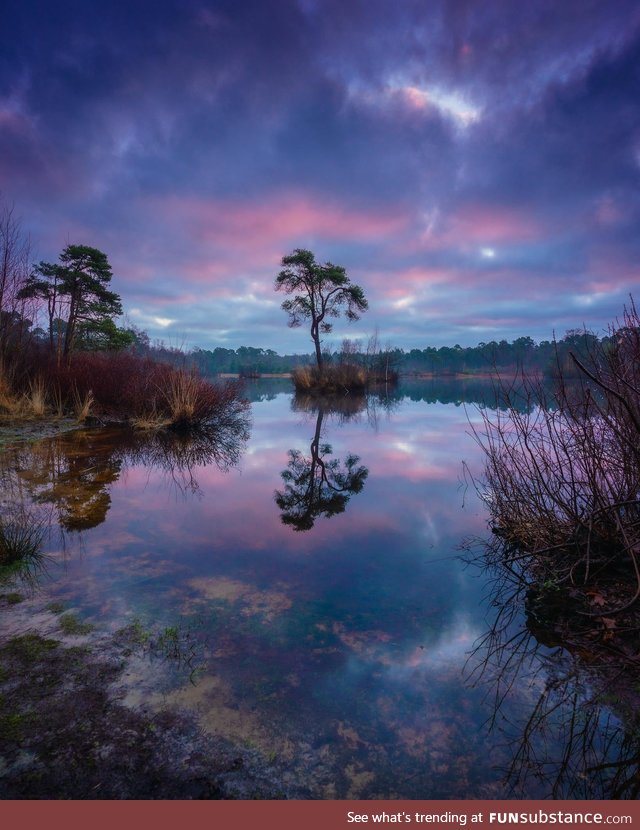 Sunrise at a pond, the Netherlands
