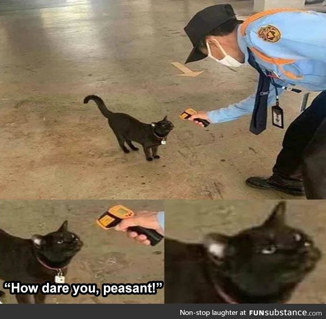 Peasant