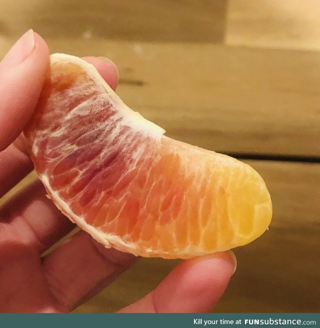 Blood orange slice with a color gradient from red to yellow