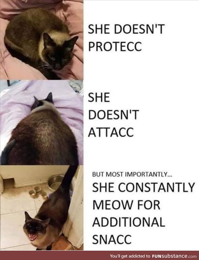 Doesn't protecc or attacc