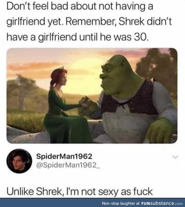 Shrek didn't have a girlfriend until he was 30