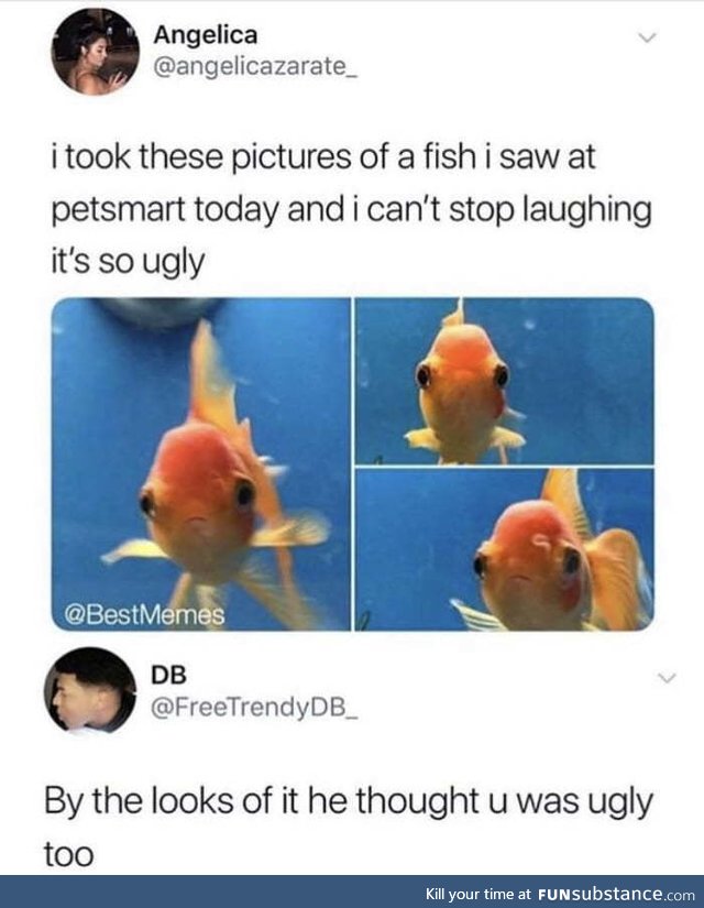 Fishy Fun Day #58: Meme Edition