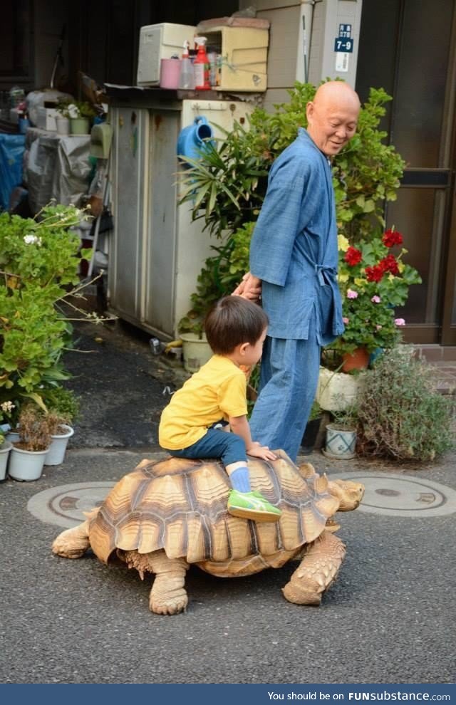 This man walks around the city with his pet tortoise - Tokyo