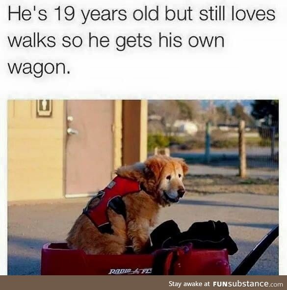 He gets his own wagon