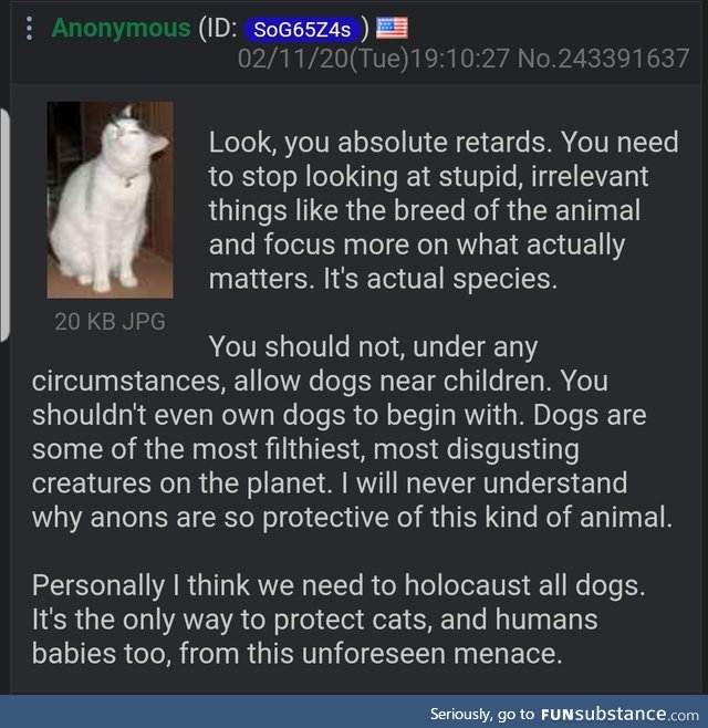Anon is a cat with a strong opinion on pitbulls