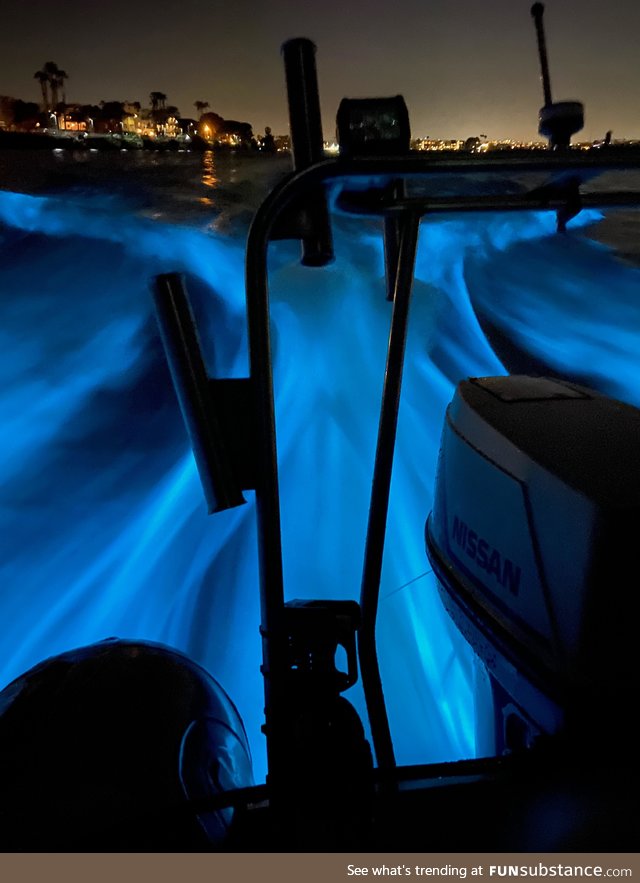 Bioluminescent boat wake