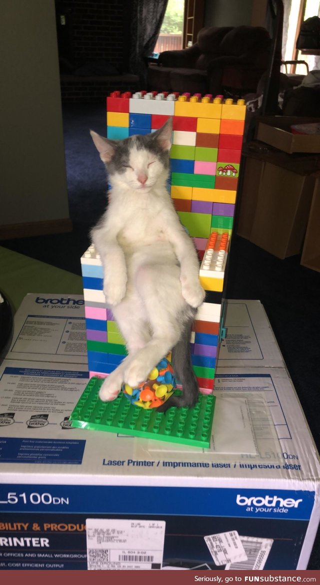This cat's position