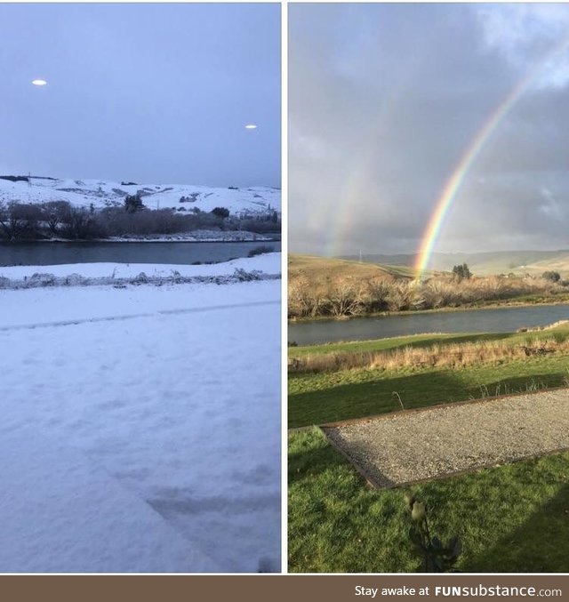 Uncles backyard two days apart- New Zealand