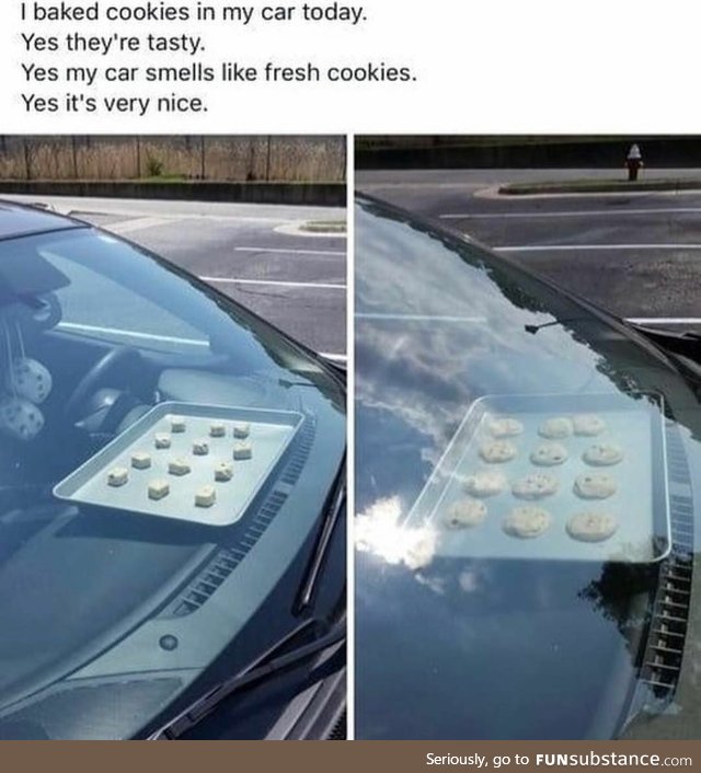 Baked cookies in the car today. This is why you don't leave pets or kids on hot days