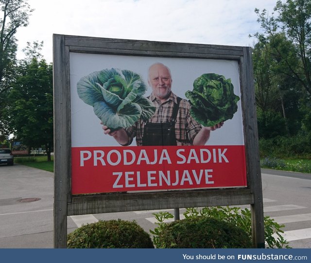 Caught Herold slinging veg in Slovenia