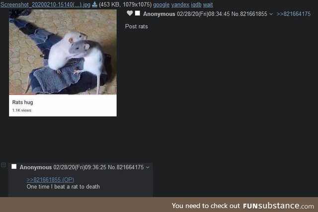 Anon shares his experience with rats