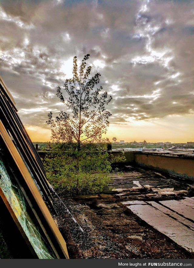 Been wanting to get into photography. I took this on top of a abandoned factory building