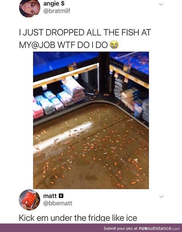 Fishy Fun Day #65: Meme Edition