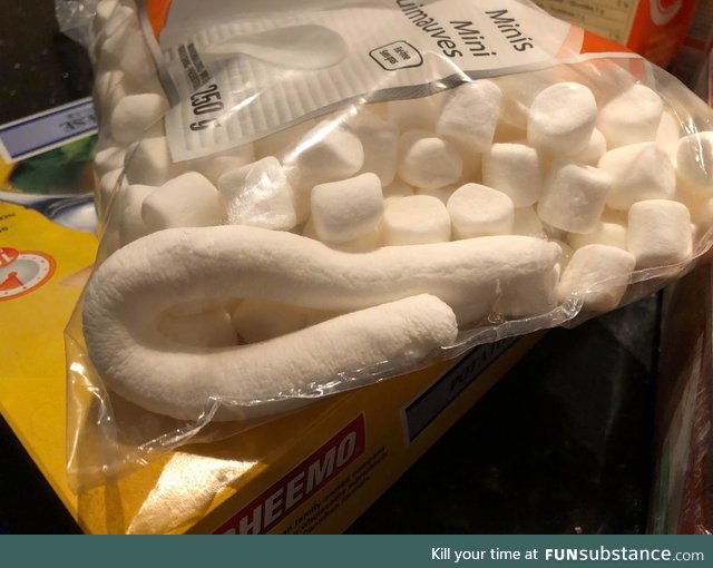This massive marshmallow tube