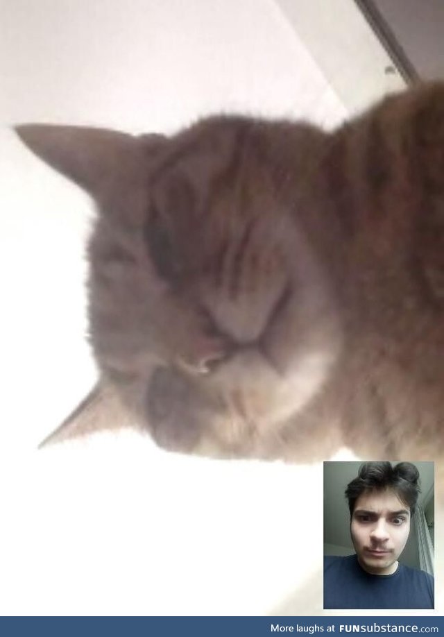 Skype called my father during quarantine, this is what I saw when he picked up