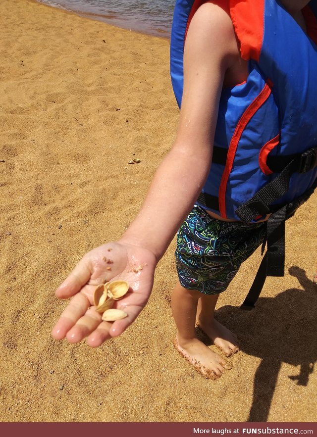 My son found sea shells on his first trip to the beach. I didn't have the heart to tell