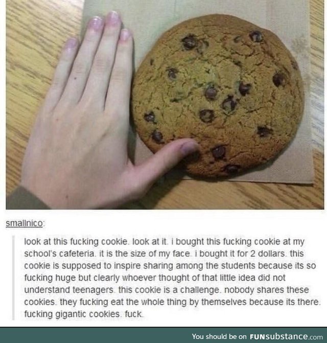 The cookie was a social experiment