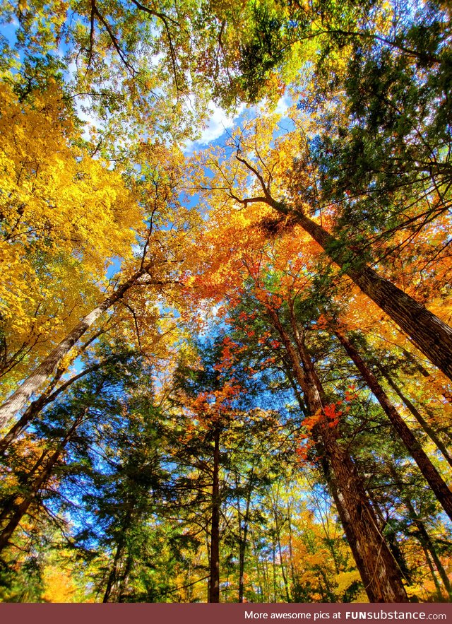 Fall Foliage in the White Mountains, NH