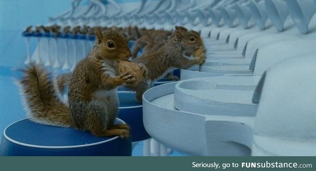 Charlie and the Chocolate Factory had 40 squirrels trained to crack nuts