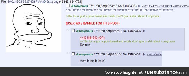 Anon Criticizes the Mods