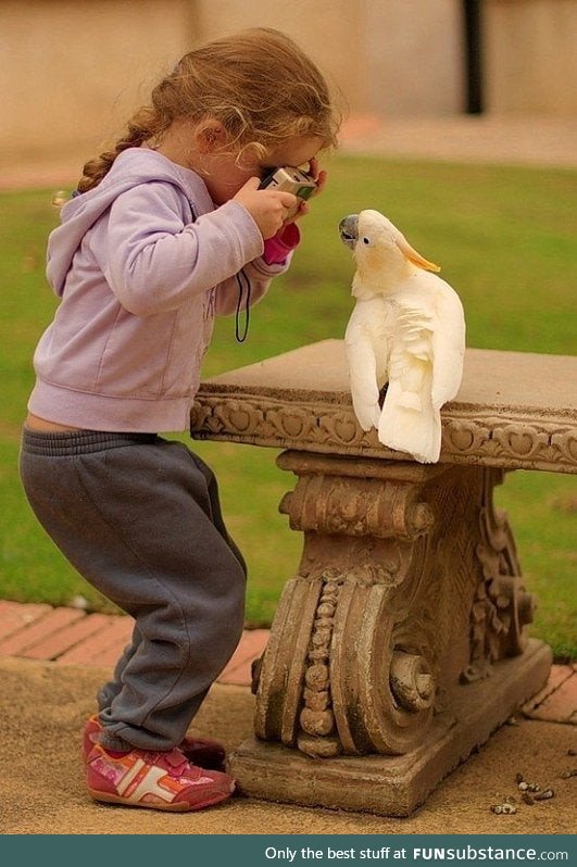 Girl photographing a bird