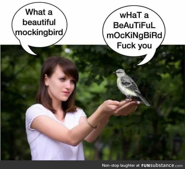 Mocking bird stings