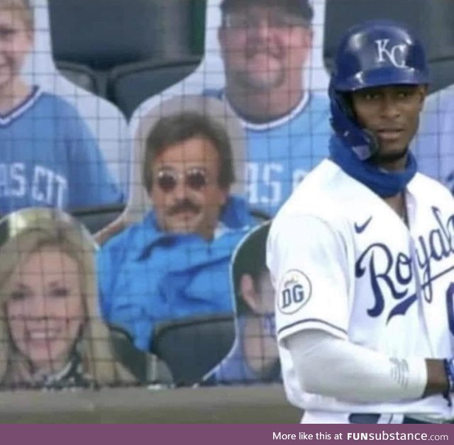 Somebody put a weekend at Bernies cardboard cutout in the stands of a baseball game, I