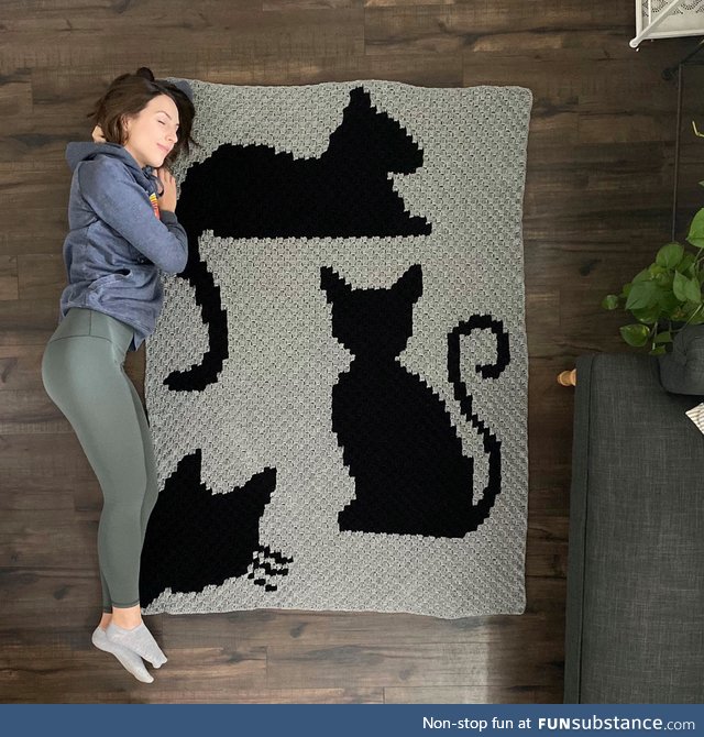 I made a cat blanket!