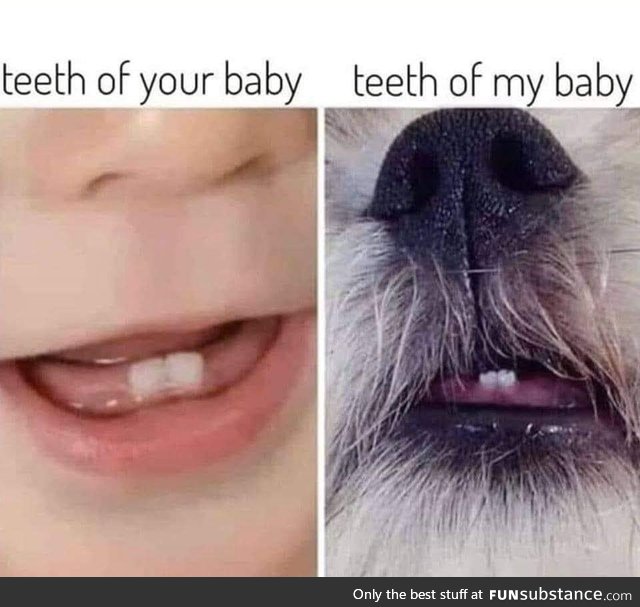 Teef