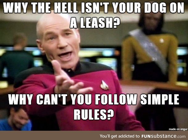Why can't some people leash their dog?