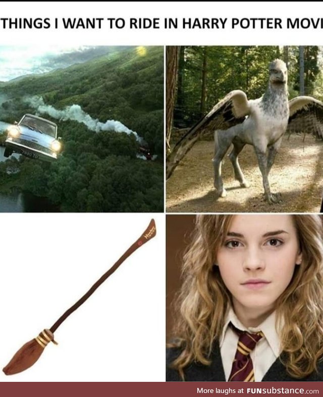Things I want to ride in Harry potter movie
