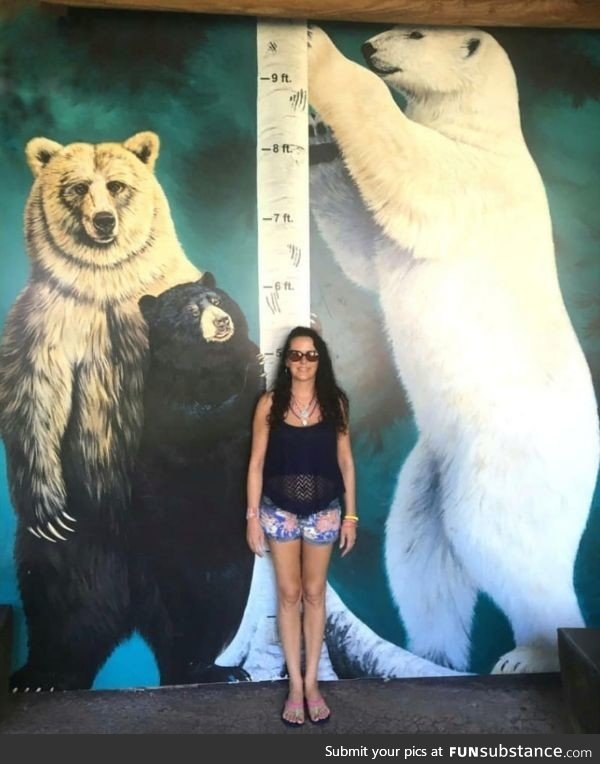 The real size of bears