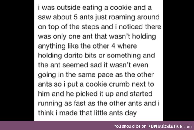Do you actually want ants?