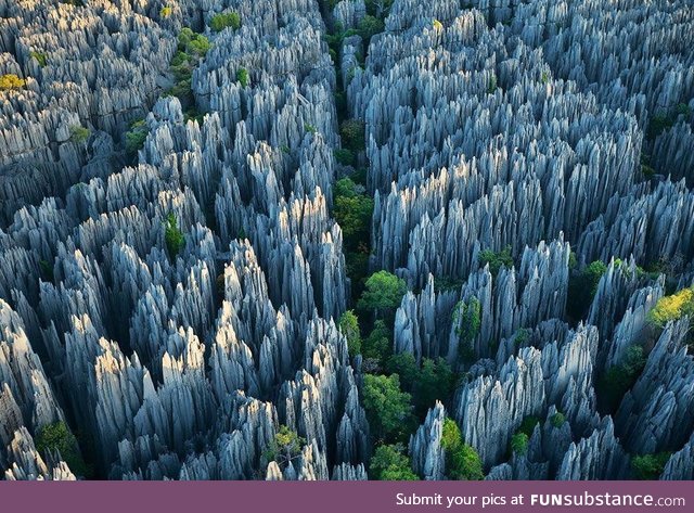 The Stone Forest in Madagascar