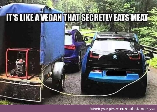 Vegan cars