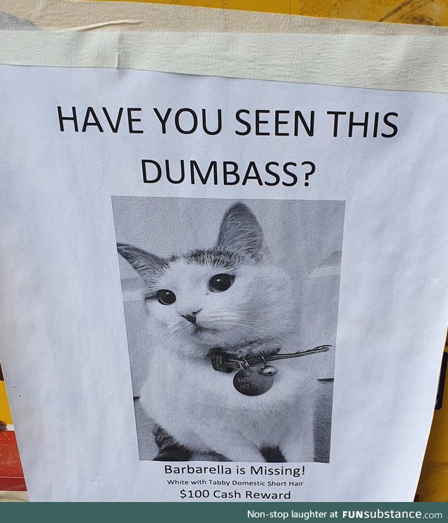 This missing cat poster in my neighborhood