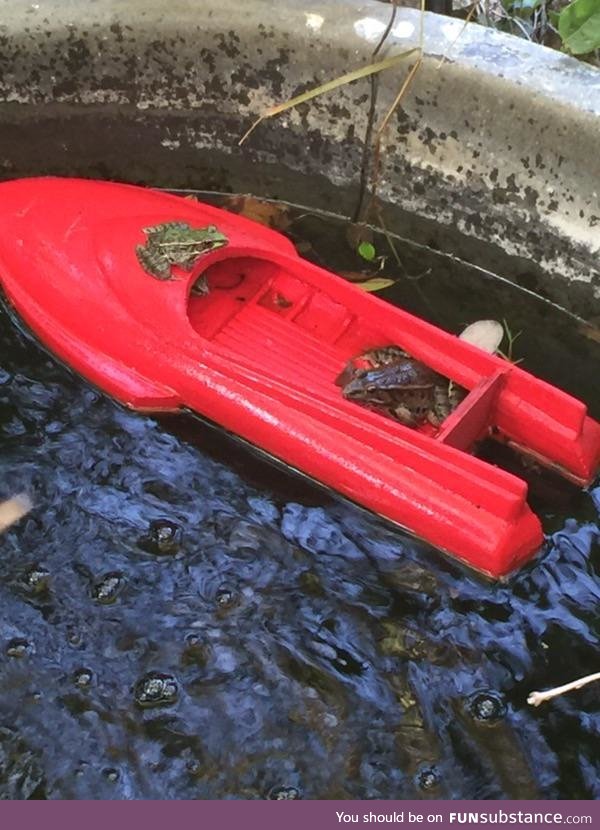 Froggo Fun #241 - They're on a Boat
