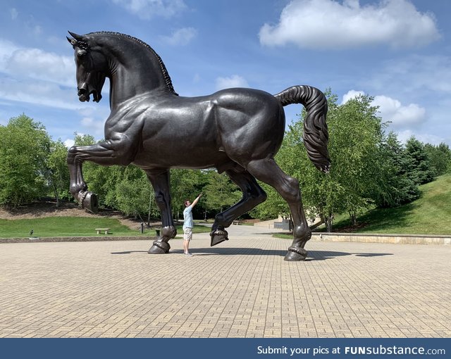 Hey look a giant anatomically correct stallion!